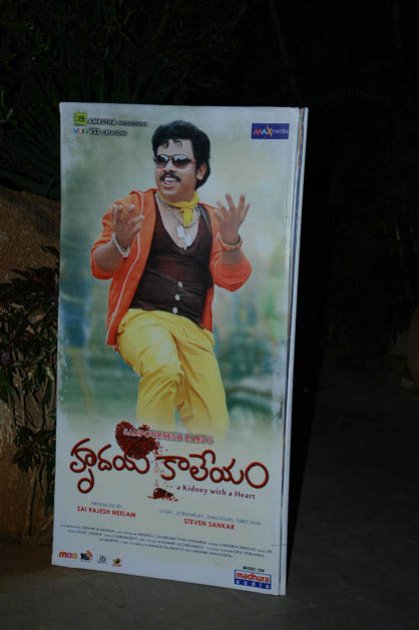 Hrudaya-Kaleyam-Audio-Launch